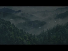 СОЛУЖЕНИЕ ПО ХОРОЖЕНИЮ ЭНЕРГИИ И ПРОВОДИТЕЛЬ СЕРВИСОВ